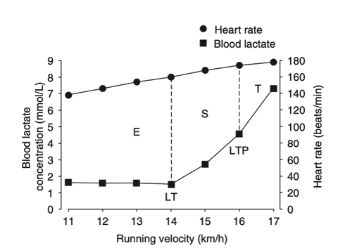 TEMPO RUNS